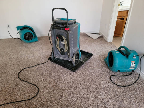 Best Carpet water damage restoration  in Richlands, VA