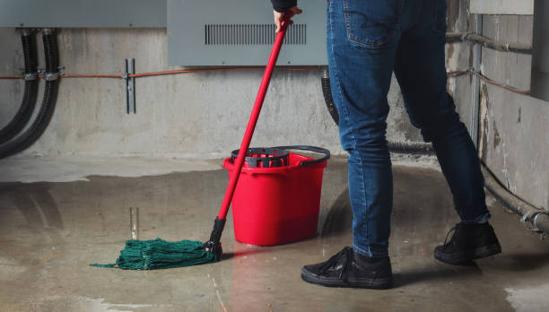 Best Water damage cleanup near me  in Richlands, VA