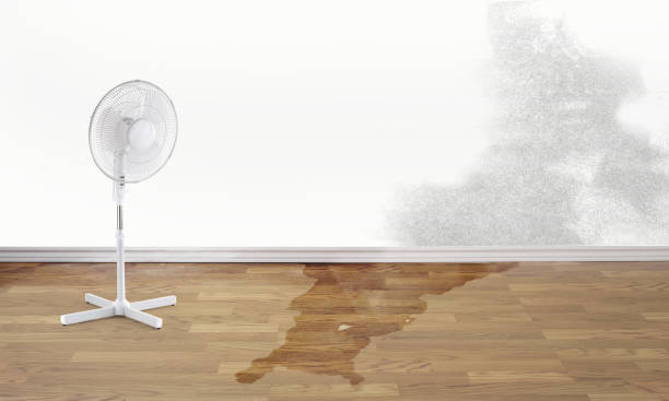 Best 24-hour water damage restoration  in Richlands, VA