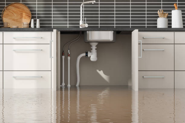 Best 24/7 water damage repair  in Richlands, VA